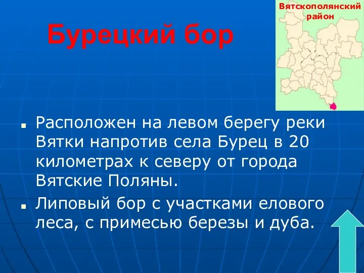 Бурецкий бор Расположен на левом берегу реки Вятки напротив села