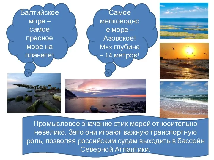 Балтийское море – самое пресное море на планете! Самое мелководное