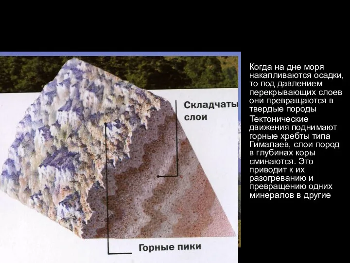 Когда на дне моря накапливаются осадки, то под давлением перекрывающих