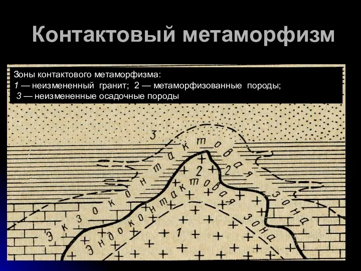 Контактовый метаморфизм - возникает в результате сложных физико-химических процессов, на