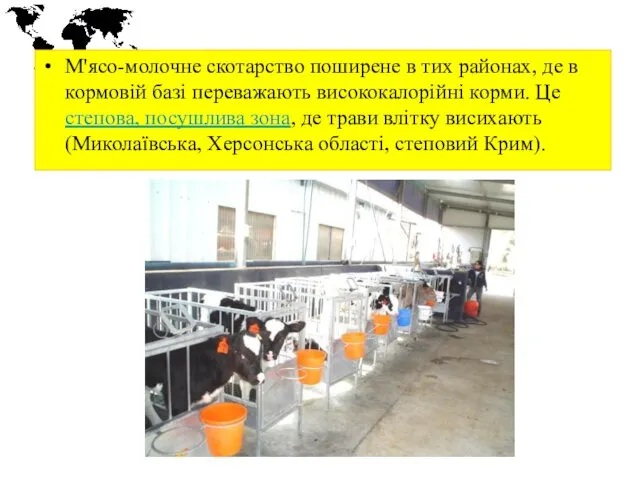 М'ясо-молочне скотарство поширене в тих районах, де в кормовій базі