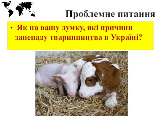 Проблемне питання Як на вашу думку, які причини занепаду тваринництва в Україні?