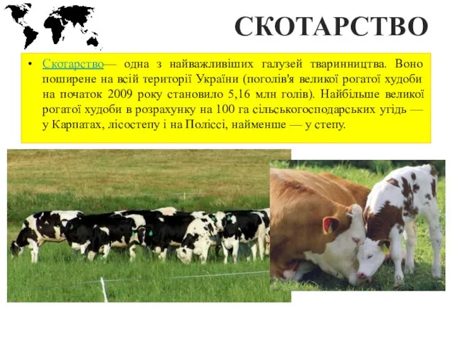 СКОТАРСТВО Скотарство— одна з найважливіших галузей тваринництва. Воно поширене на