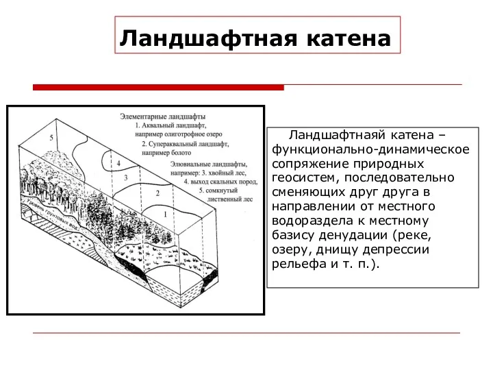 Ландшафтная катена Ландшафтнаяй катена – функционально-динамическое сопряжение природных геосистем, последовательно