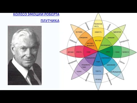 КОЛЕСО ЭМОЦИЙ РОБЕРТА ПЛУТЧИКА