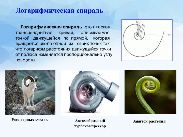 Логарифмическая спираль -это плоская трансцендентная кривая, описываемая точкой, движущейся по