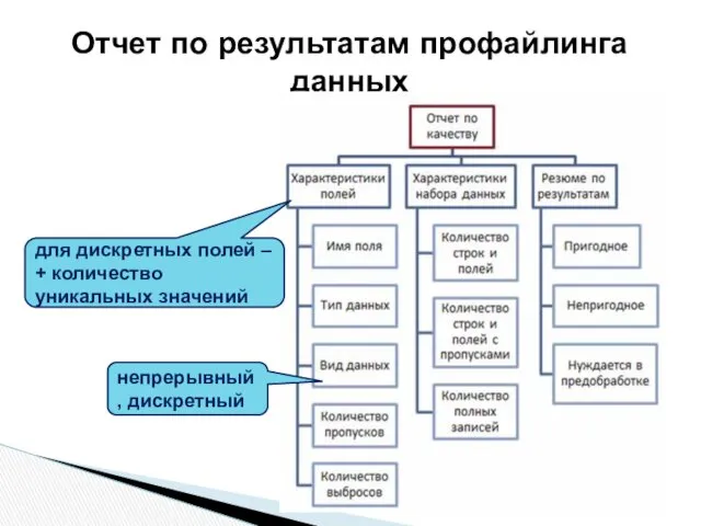 Отчет по результатам профайлинга данных