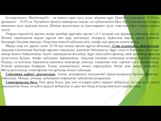 Қоздырушысы. Metastrongylis – аң немесе сары түсті ұзын, жіңішке құрт.