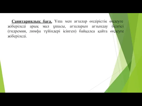 Санитариялық баға. Ұша мен ағзалар өндірістік өңдеуге жіберіледі арық мал