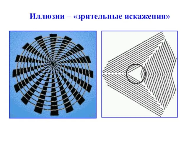 Иллюзии – «зрительные искажения»