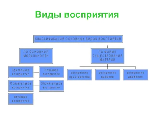 Виды восприятия