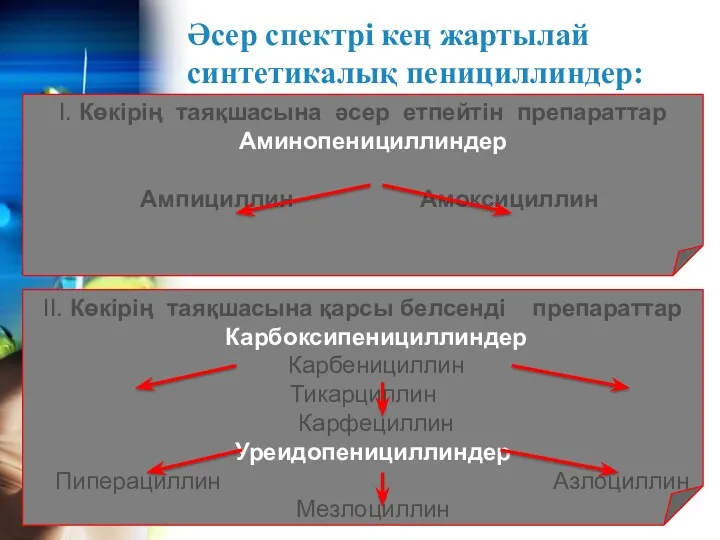 Әсер спектрі кең жартылай синтетикалық пенициллиндер: І. Көкірің таяқшасына әсер