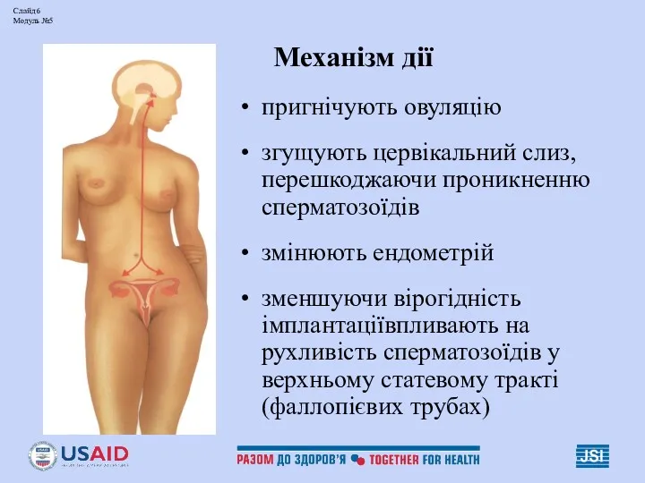 Слайд 6 Модуль №5 Механізм дії пригнічують овуляцію згущують цервікальний