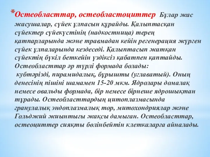 Остеобласттар, остеобластоциттер Бұлар жас жасушалар, сүйек ұлпасын құрайды. Қалыптасқан сүйектер