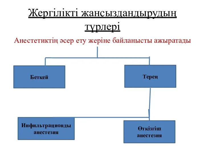 Жергілікті жансыздандырудың түрлері Анестетиктің әсер ету жеріне байланысты ажыратады Беткей Терең Инфильтрационды анестезия Өткізгіш анестезия