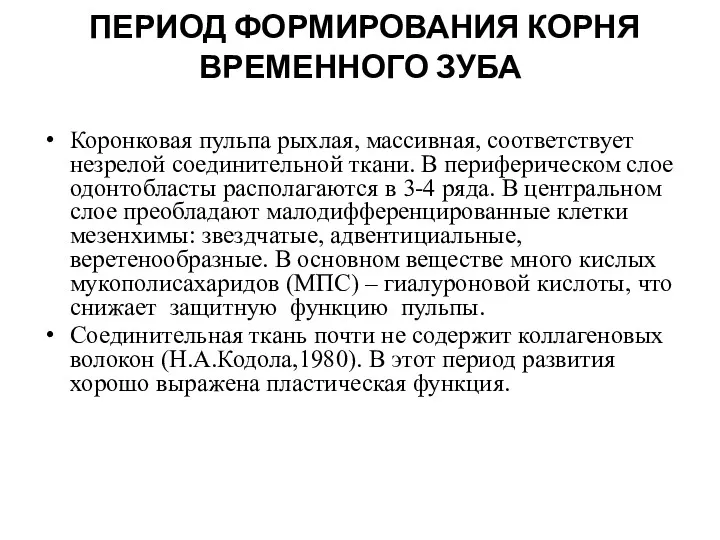 ПЕРИОД ФОРМИРОВАНИЯ КОРНЯ ВРЕМЕННОГО ЗУБА Коронковая пульпа рыхлая, массивная, соответствует