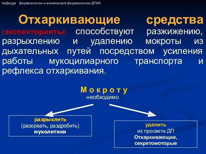 Отхаркивающие средства (экспекторанты) способствуют разжижению, разрыхлению и удалению мокроты из