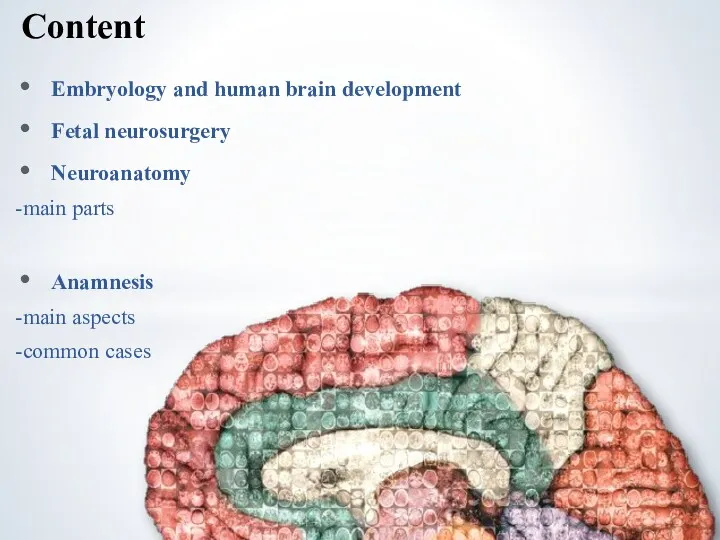 Embryology and human brain development Fetal neurosurgery Neuroanatomy -main parts Anamnesis -main aspects -common cases Content