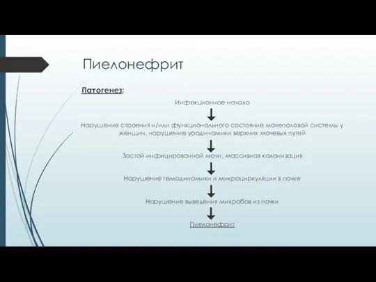 Пиелонефрит Патогенез: Инфекционное начало Нарушение строения и/или функционального состояние мочеполовой