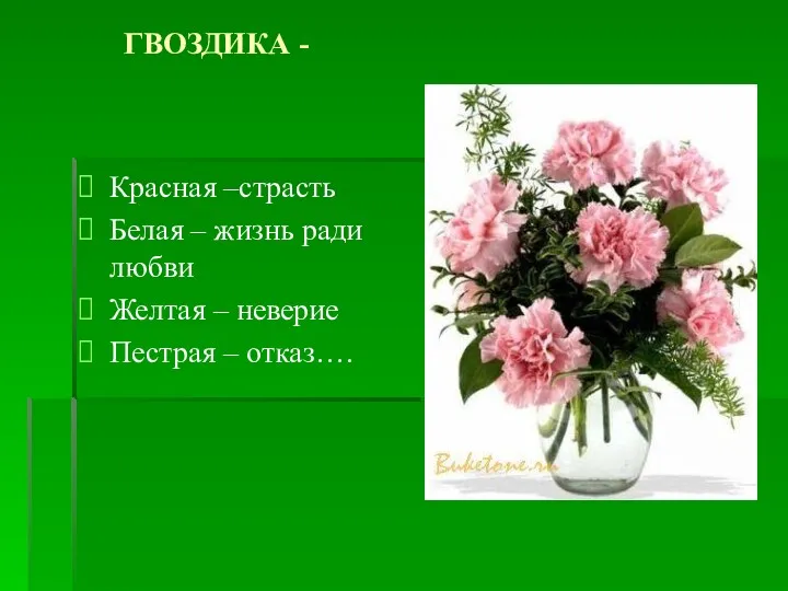 ГВОЗДИКА - Красная –страсть Белая – жизнь ради любви Желтая – неверие Пестрая – отказ….