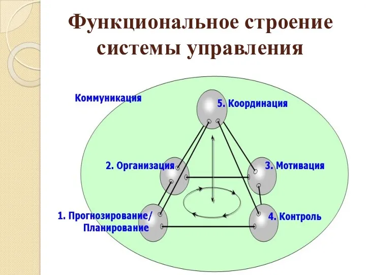 Функциональное строение системы управления