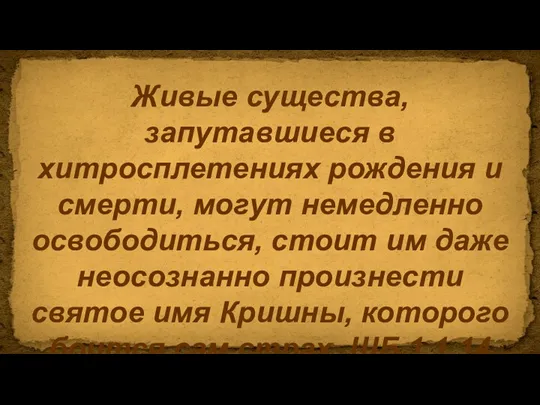 Живые существа, запутавшиеся в хитросплетениях рождения и смерти, могут немедленно освободиться, стоит им