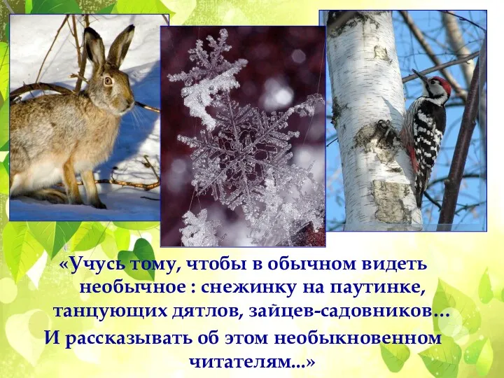 «Учусь тому, чтобы в обычном видеть необычное : снежинку на