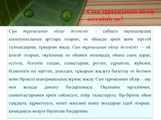 Сын тұрғысынан ойлау дегеніміз – сабақта оқушылардың қызығушылығын арттыра отырып,