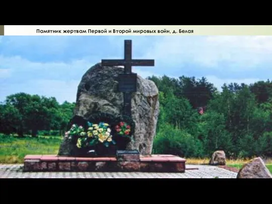 Памятник жертвам Первой и Второй мировых войн, д. Белая