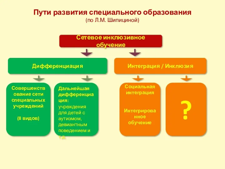 Пути развития специального образования (по Л.М. Шипициной) Сетевое инклюзивное обучение