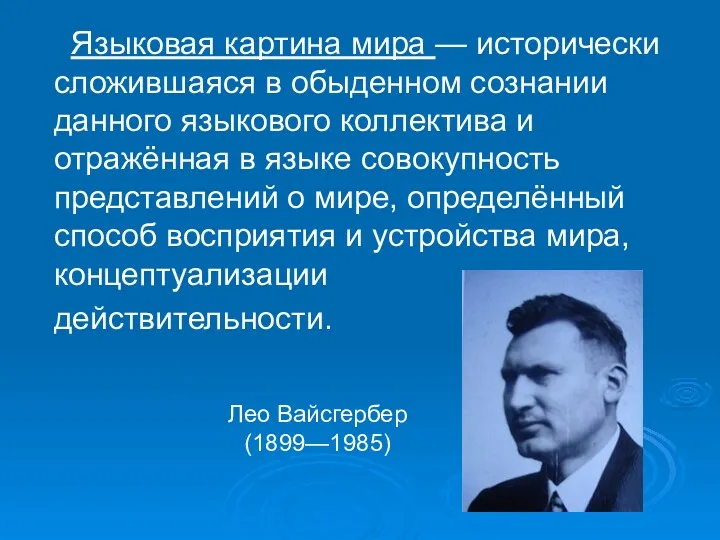 Языковая картина мира — исторически сложившаяся в обыденном сознании данного