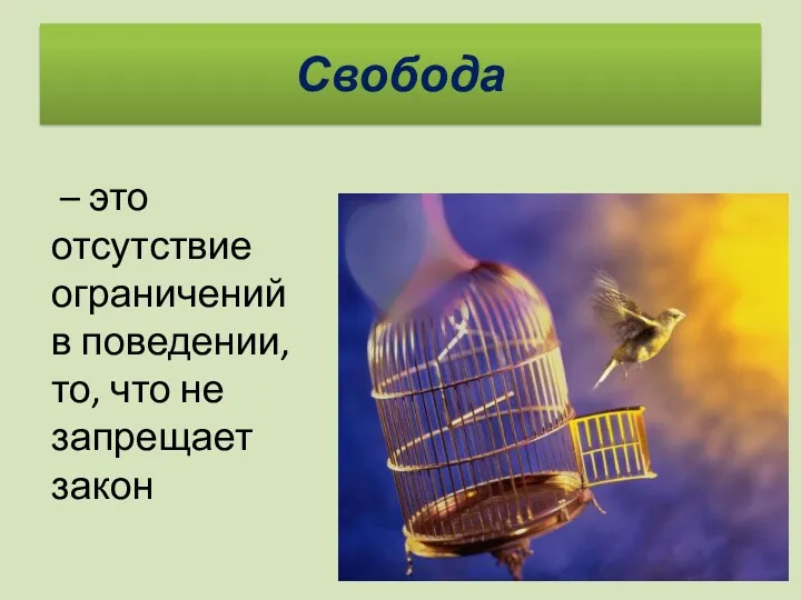 Свобода – это отсутствие ограничений в поведении, то, что не запрещает закон