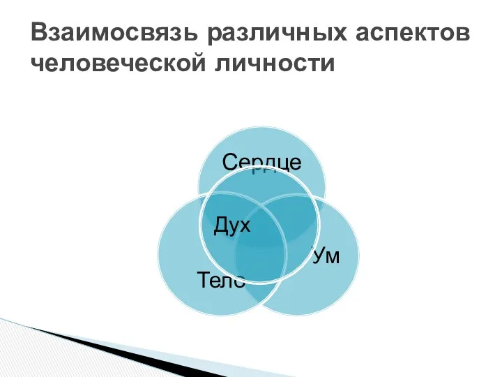 Взаимосвязь различных аспектов человеческой личности