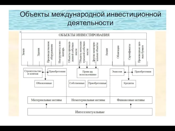 Объекты международной инвестиционной деятельности