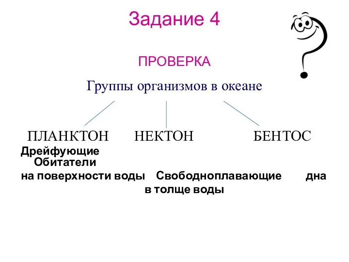 Задание 4 ПРОВЕРКА Группы организмов в океане ПЛАНКТОН НЕКТОН БЕНТОС