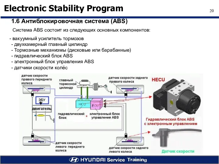 1.6 Антиблокировочная система (ABS) Система ABS состоит из следующих основных компонентов: вакуумный усилитель