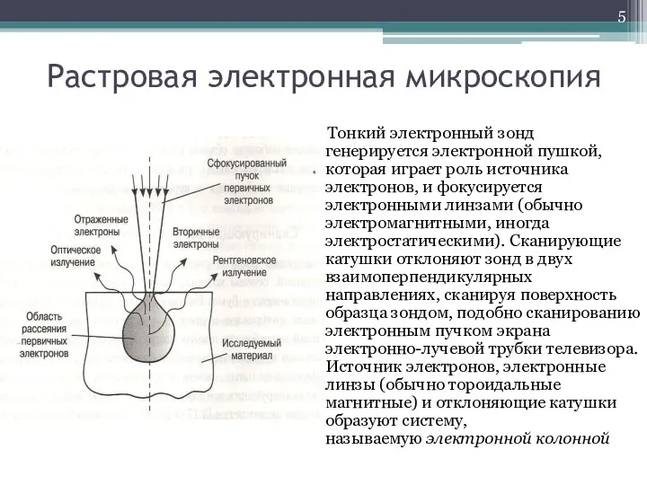 Растровая электронная микроскопия Тонкий электронный зонд генерируется электронной пушкой, которая