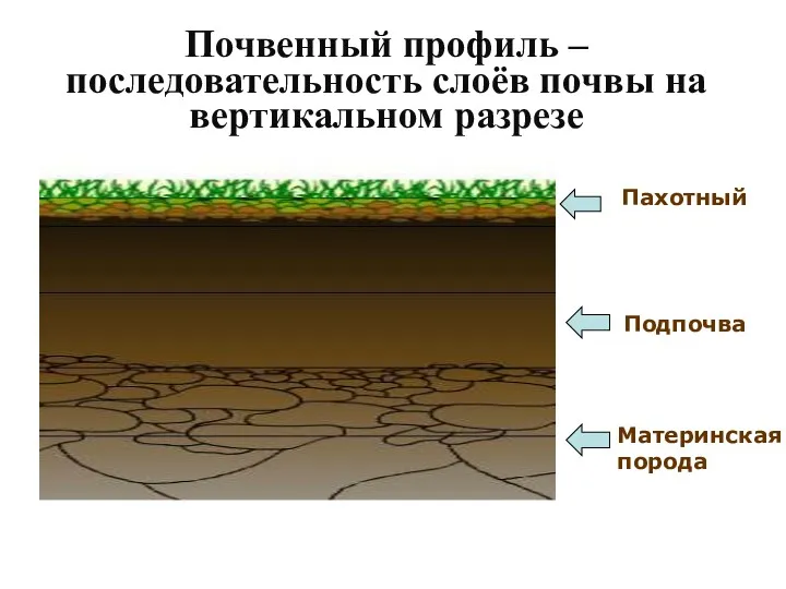 Почвенный профиль – последовательность слоёв почвы на вертикальном разрезе Пахотный Подпочва Материнская порода