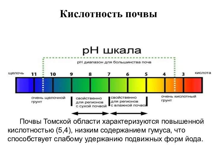 Кислотность почвы Почвы Томской области характеризуются повышенной кислотностью (5,4), низким