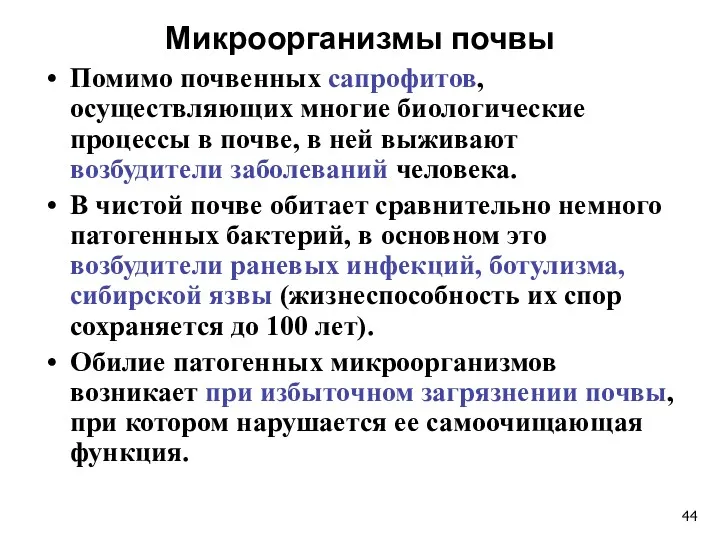 Микроорганизмы почвы Помимо почвенных сапрофитов, осуществляющих многие биологические процессы в