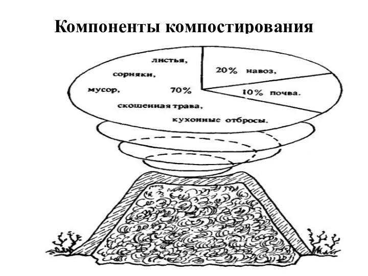 Компоненты компостирования