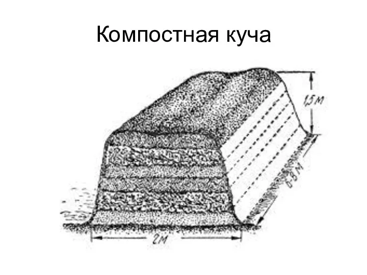 Компостная куча