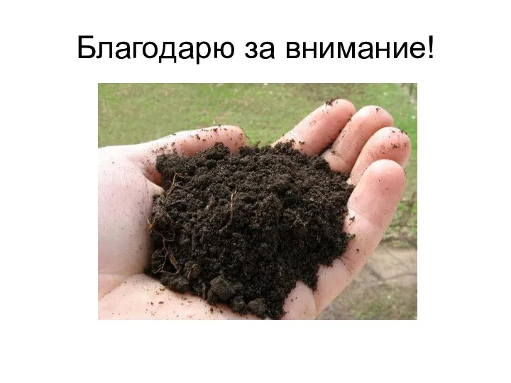 Благодарю за внимание!