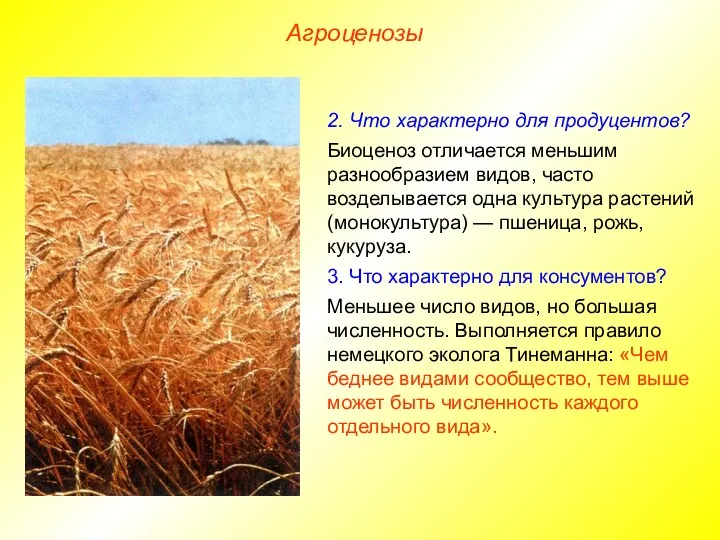 Агроценозы 2. Что характерно для продуцентов? Биоценоз отличается меньшим разнообразием