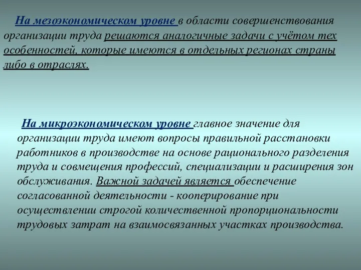 На мезоэкономическом уровне в области совершенствования организации труда решаются аналогичные