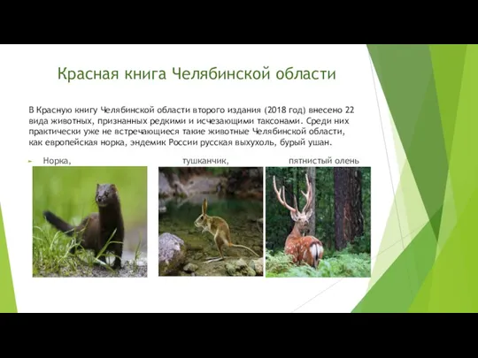 Норка, тушканчик, пятнистый олень В Красную книгу Челябинской области второго