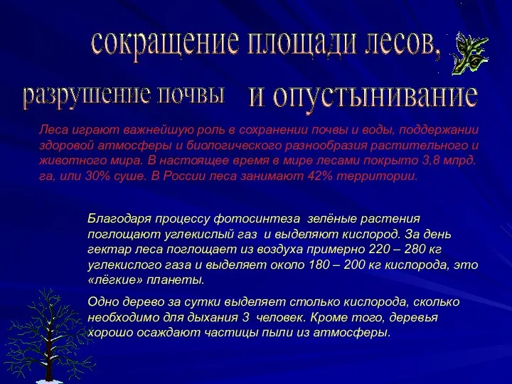 сокращение площади лесов, и опустынивание разрушение почвы Леса играют важнейшую