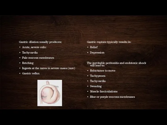 Gastric dilation usually produces: Acute, severe colic Tachycardia Pale mucous membranes Retching Ingesta