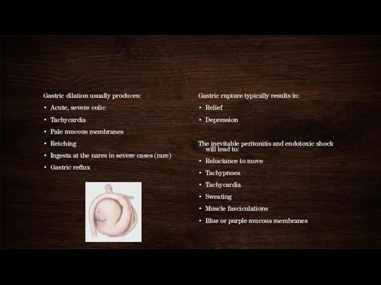 Gastric dilation usually produces: Acute, severe colic Tachycardia Pale mucous