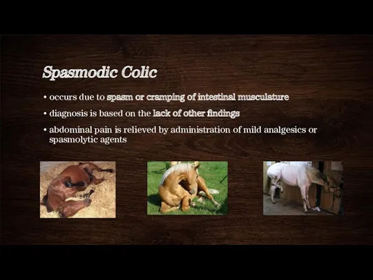 Spasmodic Colic occurs due to spasm or cramping of intestinal musculature diagnosis is
